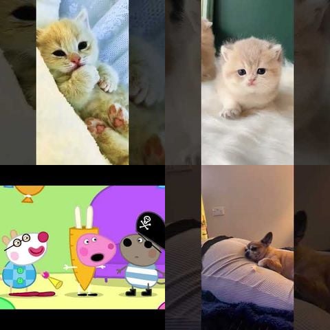 Animals Getting Hiccups thumbnail