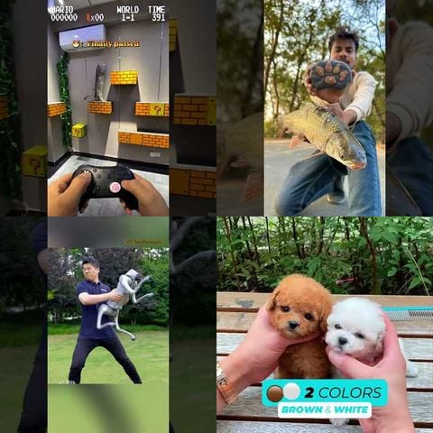 Animals Playing with Remote Controls thumbnail
