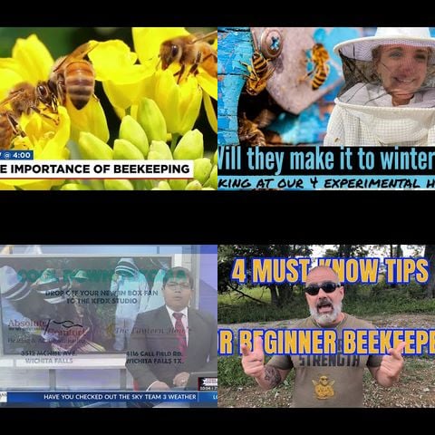 Beekeeping YouTube Community