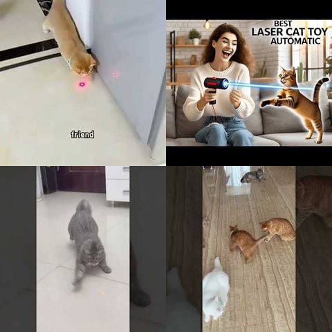 Cats Playing with Automated Laser Toys thumbnail