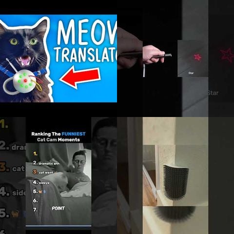 Cats Playing with Smart Home Devices thumbnail