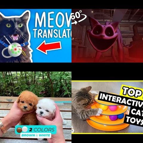 Cats vs App-Controlled Pet Toys thumbnail