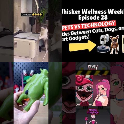 Cats vs Printers thumbnail