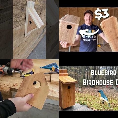 DIY Bird House Projects thumbnail