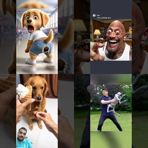 Dogs vs Voice Assistants thumbnail