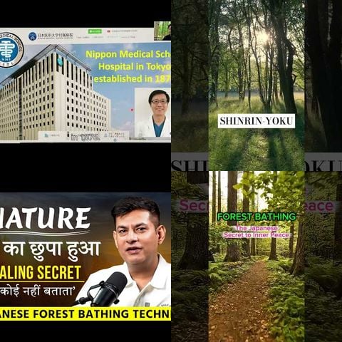 Forest Bathing: The Japanese Secret to Mental Health