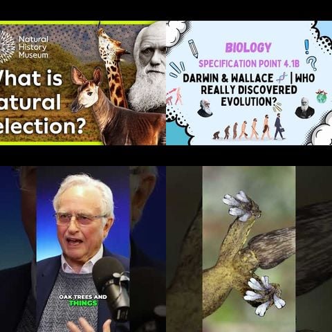 How Evolution Really Works
