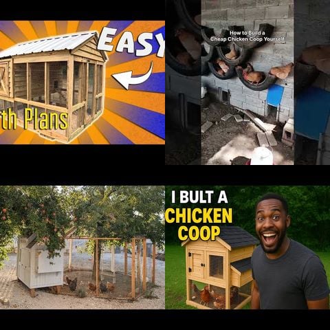How to Build a Chicken Coop thumbnail