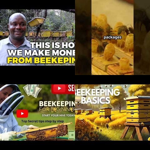 How to Start Beekeeping thumbnail