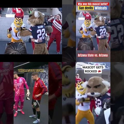 Mascots Fighting Each Other thumbnail