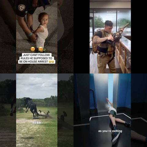 People vs Automatic Doors thumbnail