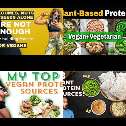 Plant-Based Protein Sources thumbnail