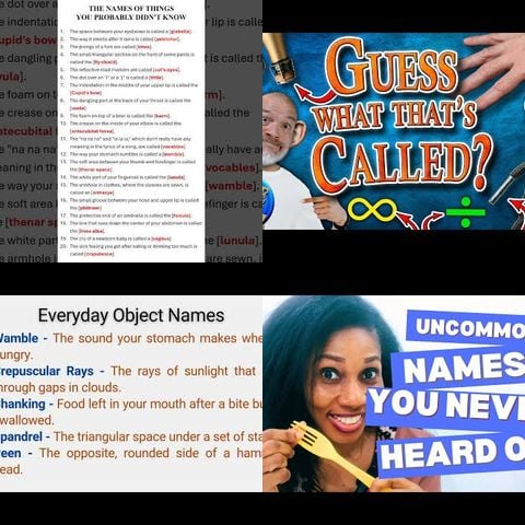 Things You Never Knew Had Names thumbnail