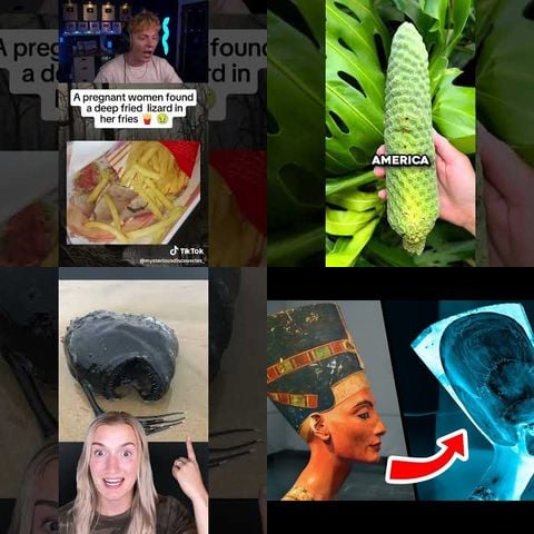 Weird Things Found in Food thumbnail